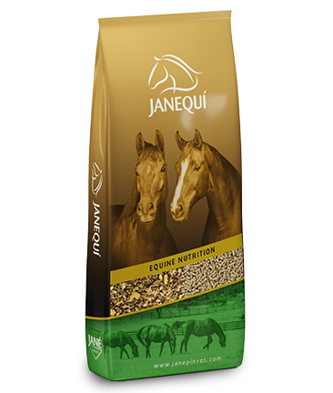 Equine Nutrition